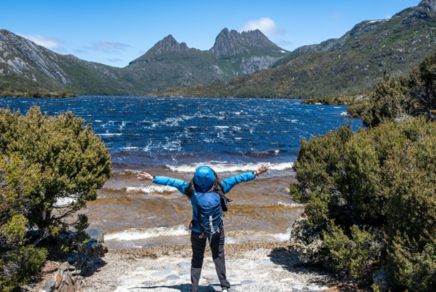 Combo Marine Wildlife Cruise + Cape Point PM Tour