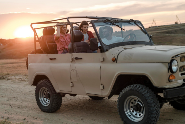 Cape Town Self-Drive Safari