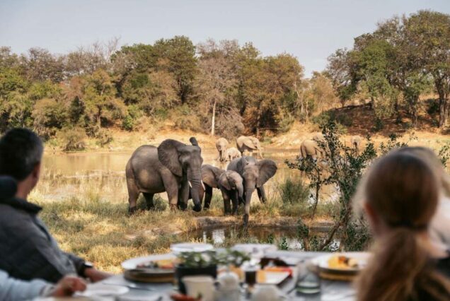 Kruger Park 3 Day Private Game Reserve