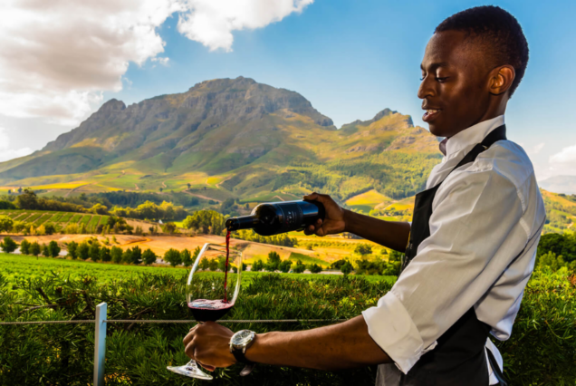 Cape Winelands Half-Day Tour