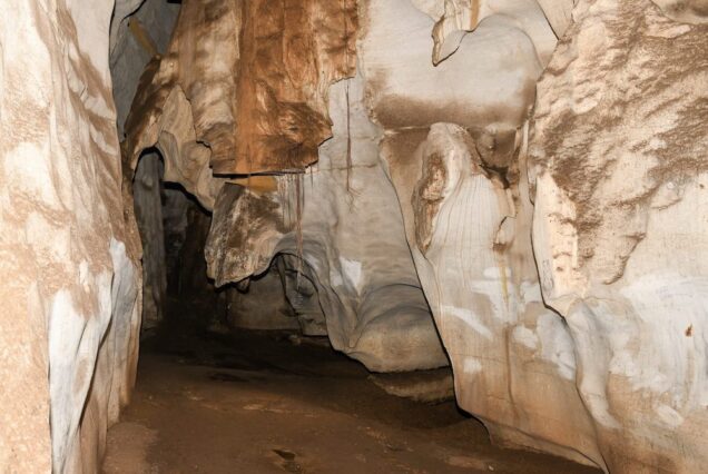 Pangani Nature Safari, Amani, and Amboni Caves