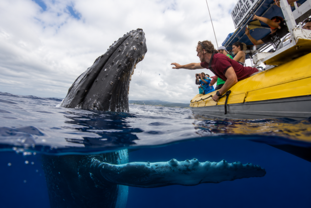 Marine Eco Tour