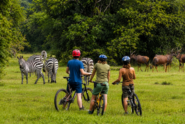 E-Bike Garden Route 4 Days 3 Nights