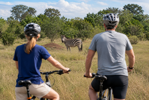 E-Bike Garden Route 3 Days / 2 Nights (4 star)