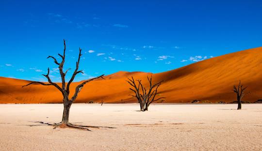 7 Days – Top 3 Destinations in Namibia