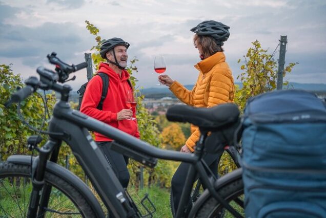 E-bike Winelands Tour