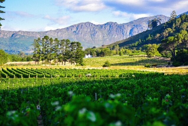 Winelands Full day