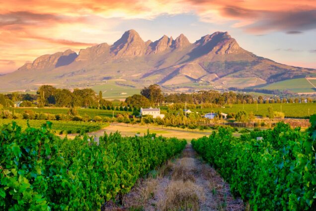 Full-day wine tour experience