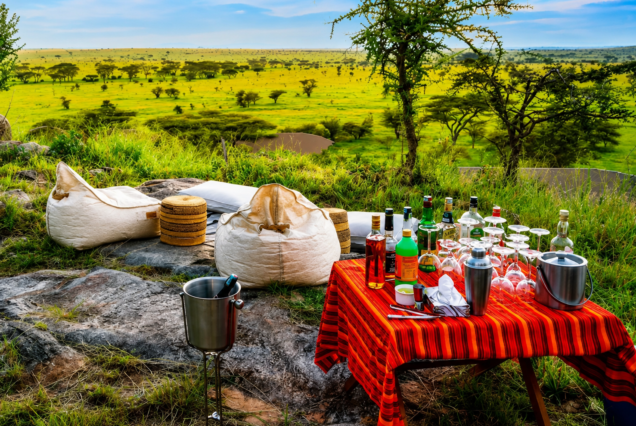 Dakawa Travel Safari