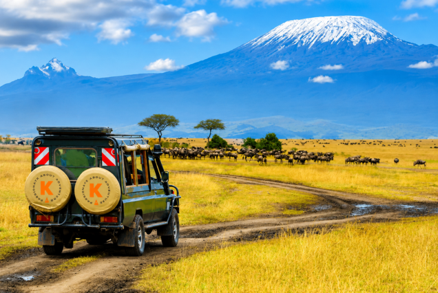 Dakawa Travel Safari