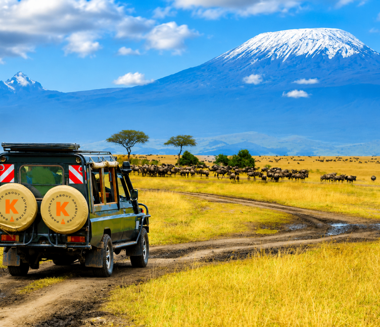 Dakawa Travel Safari