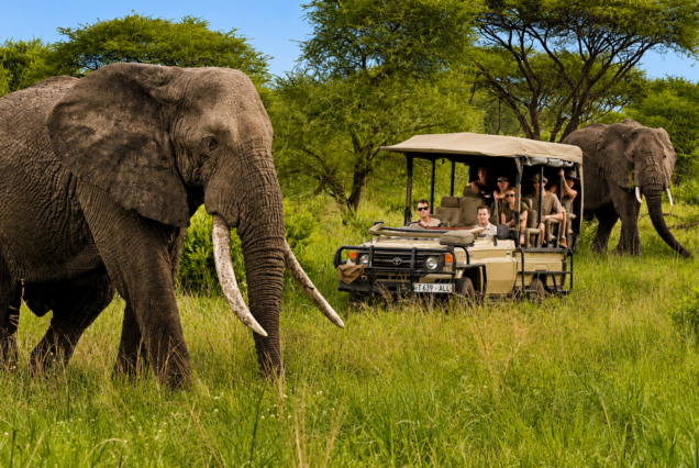 Dakawa Travel Safari