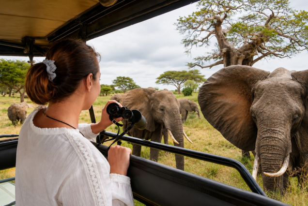 Dakawa Travel Safari