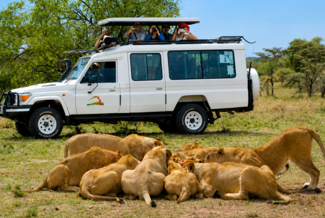 Dakawa Travel Safari