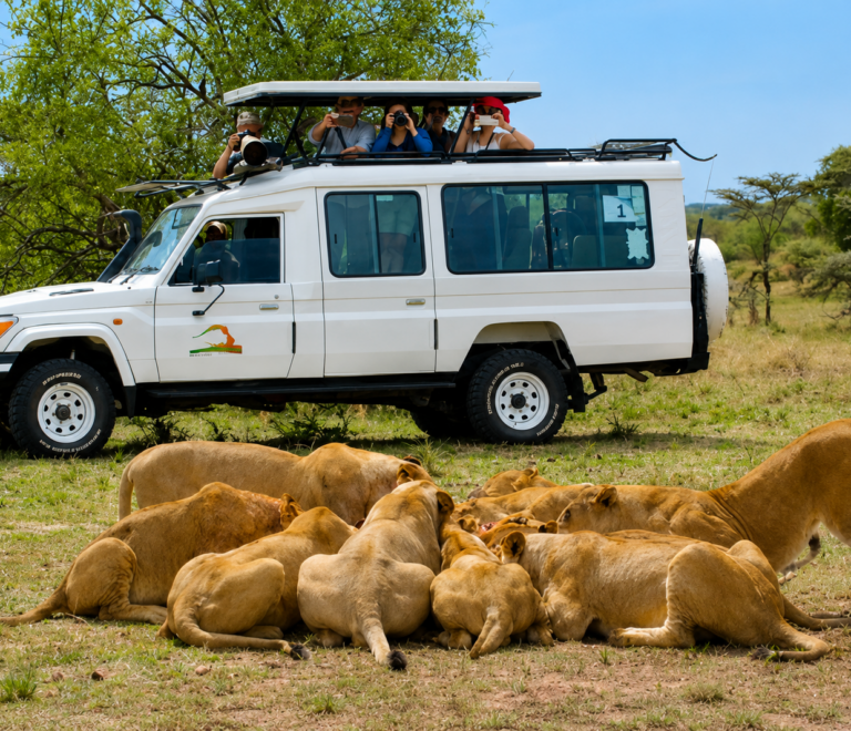 Dakawa Travel Safari