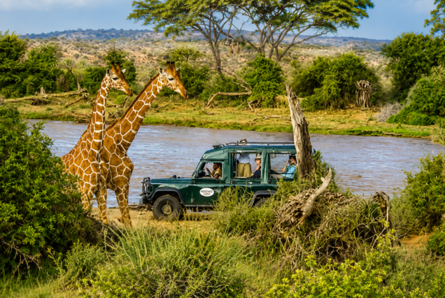 Dakawa Travel Safari