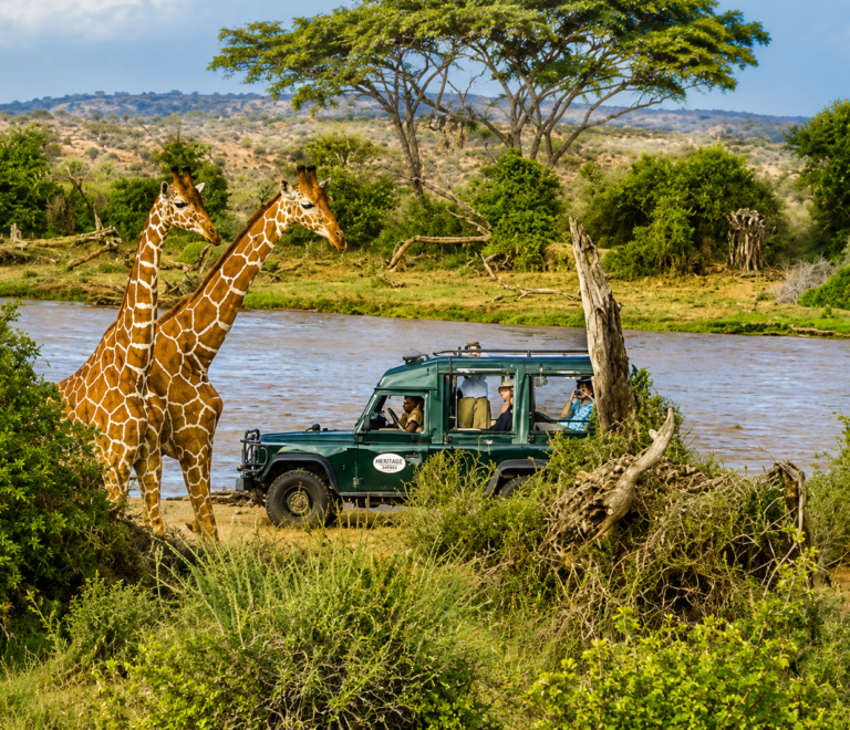 Dakawa Travel Safari
