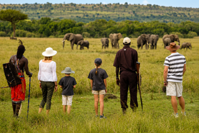 Dakawa Travel Safari
