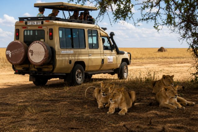 Dakawa Travel Safari