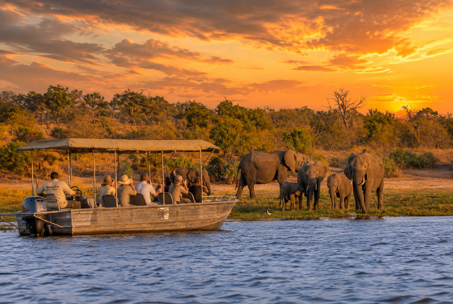 Botswana Safari