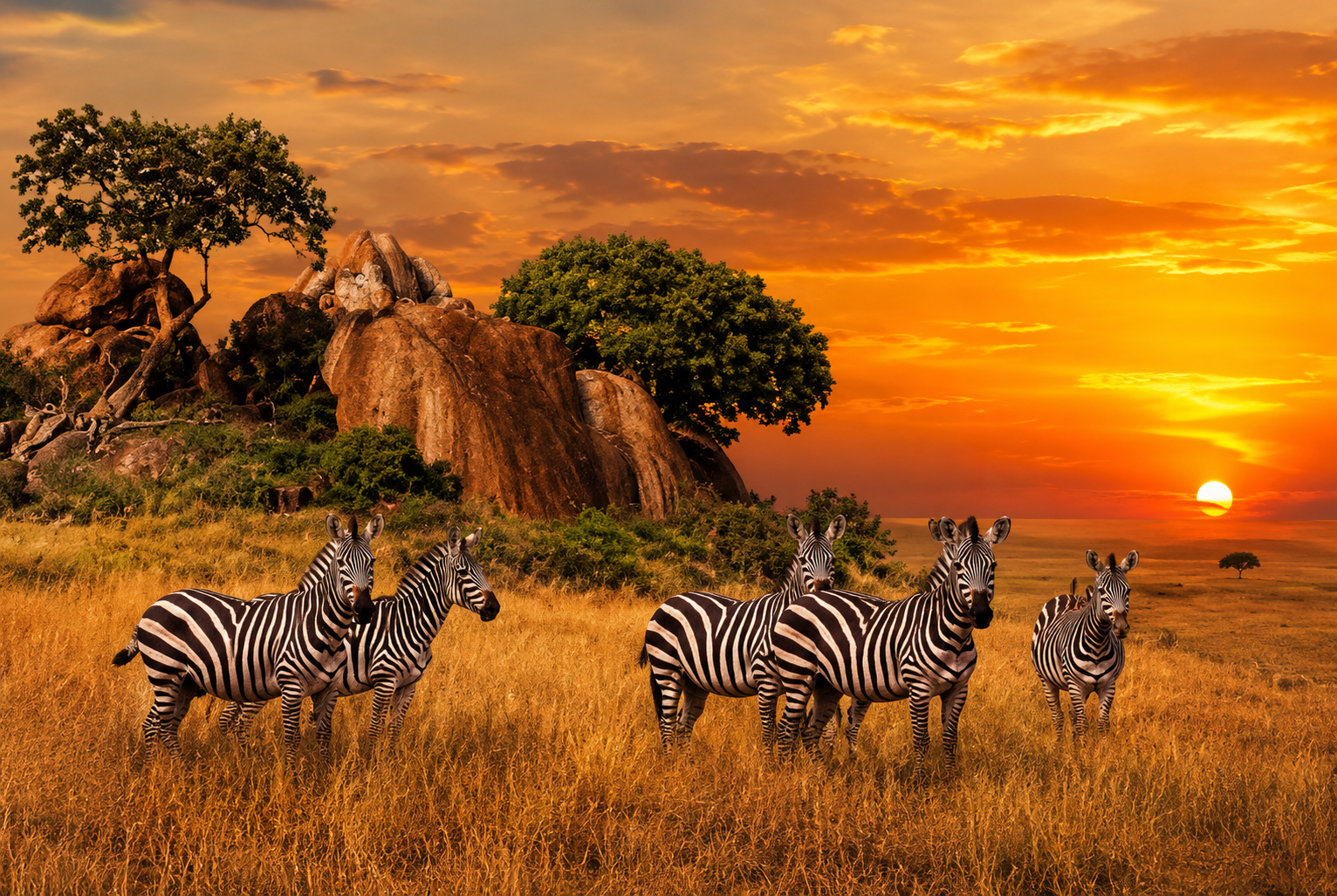 Tanzania-Safari