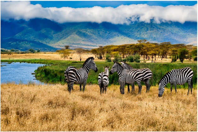 6 Days Ngorongoro, Tarangire & Lake Manyara Safari