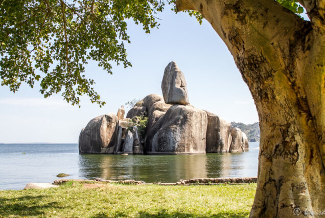Lake Victoria & Serengeti Safari