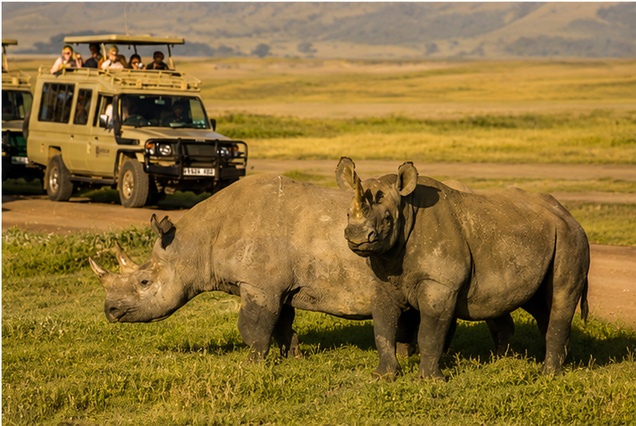 Rhino Safari & Ngorongoro Crater Adventure