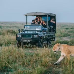 Big Five Luxury Group Safari