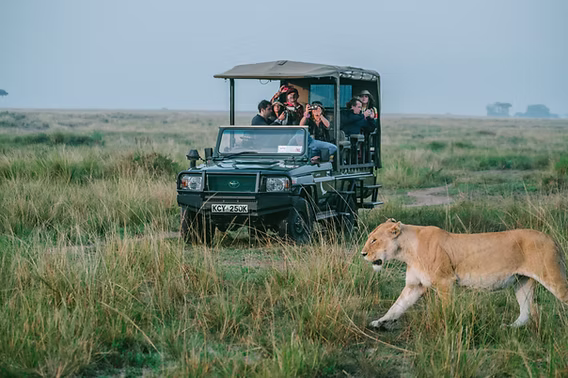 Big Five Luxury Group Safari