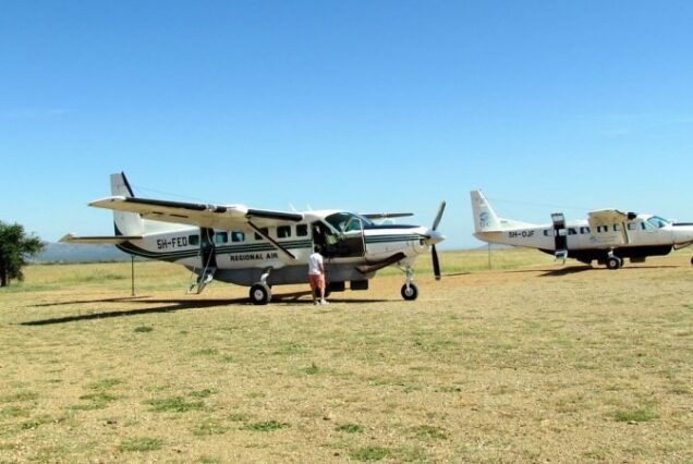 Serengeti Fly-in Safari