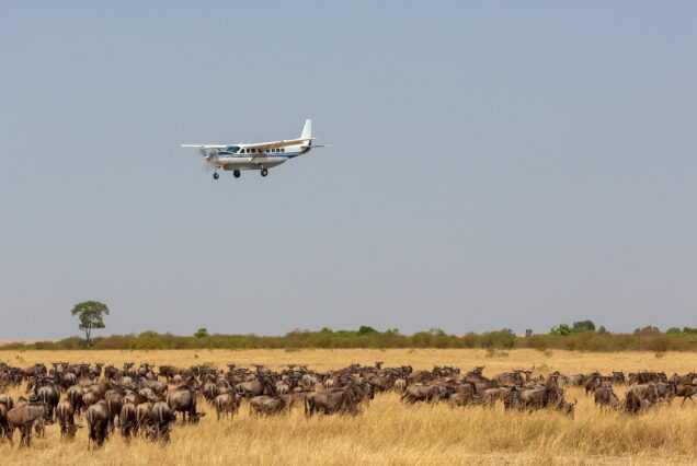 5 Days Serengeti Fly-in Safari