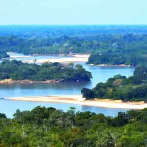 Nyerere National Park Safari (Former Selous Game Reserve)