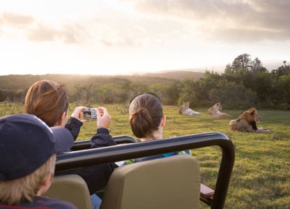 Dakawa Travel Safari